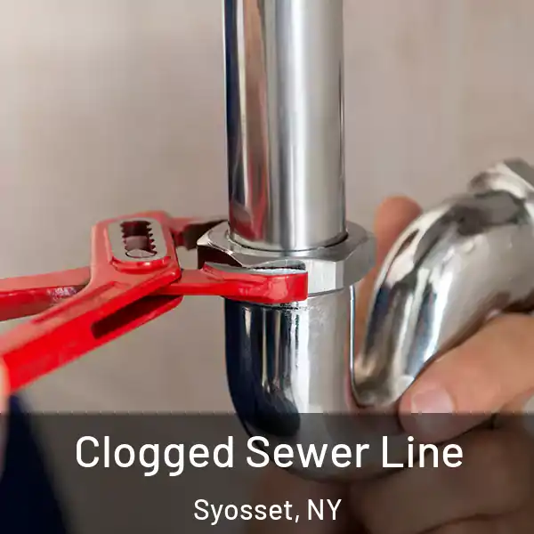  Clogged Sewer Line Syosset, NY