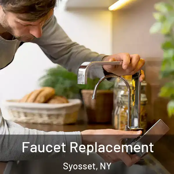  Faucet Replacement Syosset, NY