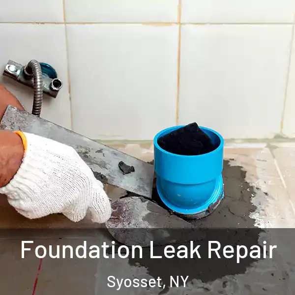  Foundation Leak Repair Syosset, NY