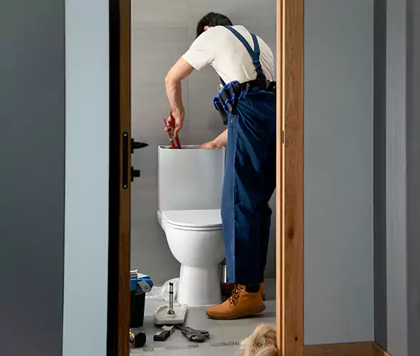 Professional Plumbers for Toilet Bowl Replacement in Syosset, NY: Schedule Affordable Toilet Replacement Services With Us