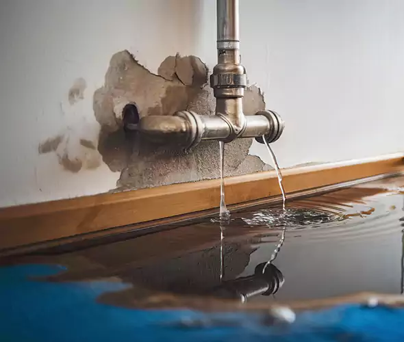 Professional Water Damage Restoration Experts in Syosset, NY — Fast, Reliable & Certified