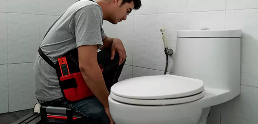 Toilet Repair in Syosset