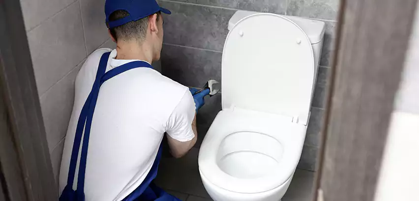 Toilet Lid Replacement in Syosset