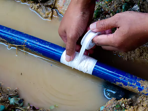  Why Choose Syosset Plumbing Pros for Leak Detection in Syosset, NY?]