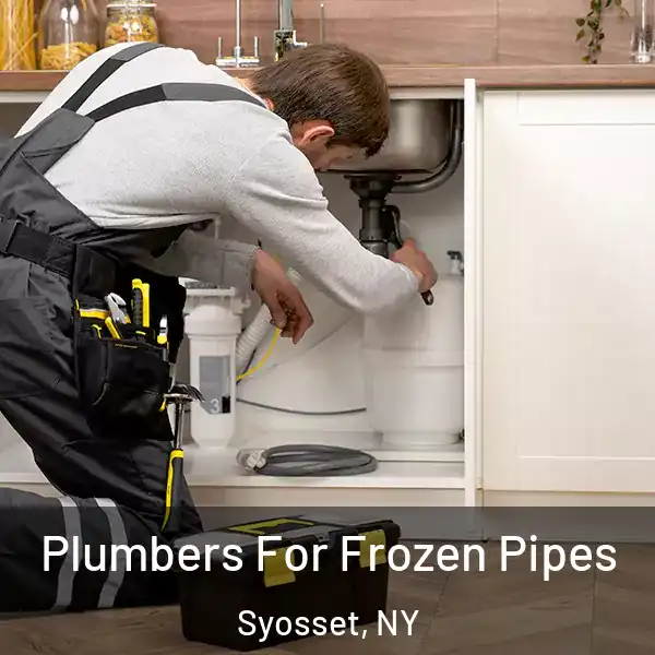  Plumbers For Frozen Pipes Syosset, NY