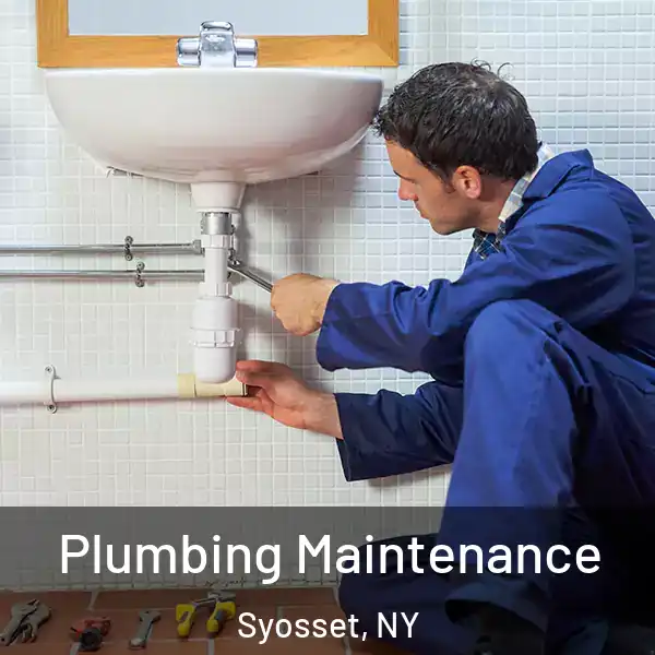  Plumbing Maintenance Syosset, NY