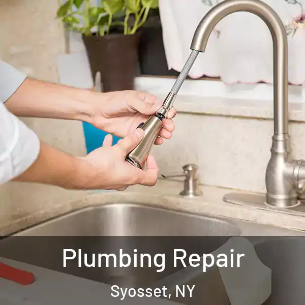  Plumbing Repair Syosset, NY