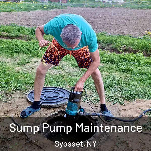  Sump Pump Maintenance Syosset, NY