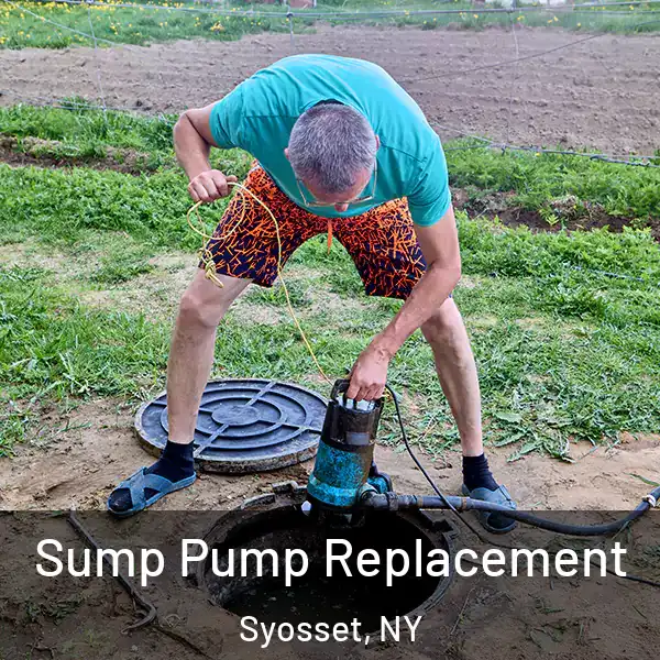  Sump Pump Replacement Syosset, NY