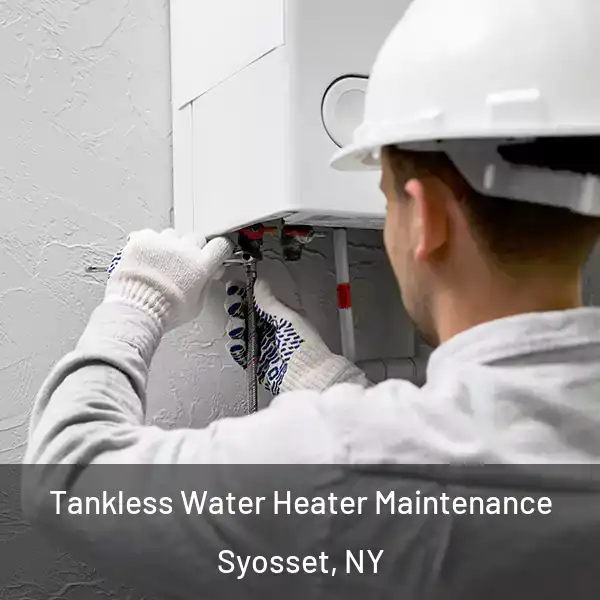 Tankless Water Heater Maintenance Syosset, NY