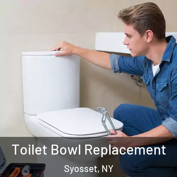  Toilet Bowl Replacement Syosset, NY