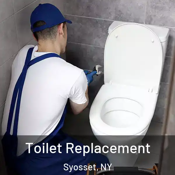  Toilet Replacement Syosset, NY