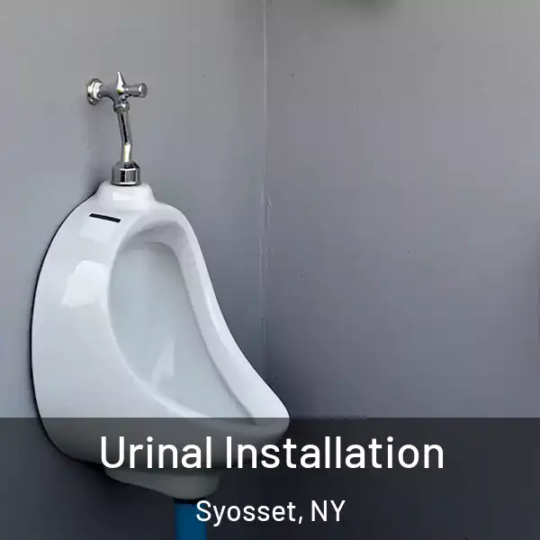  Urinal Installation Syosset, NY