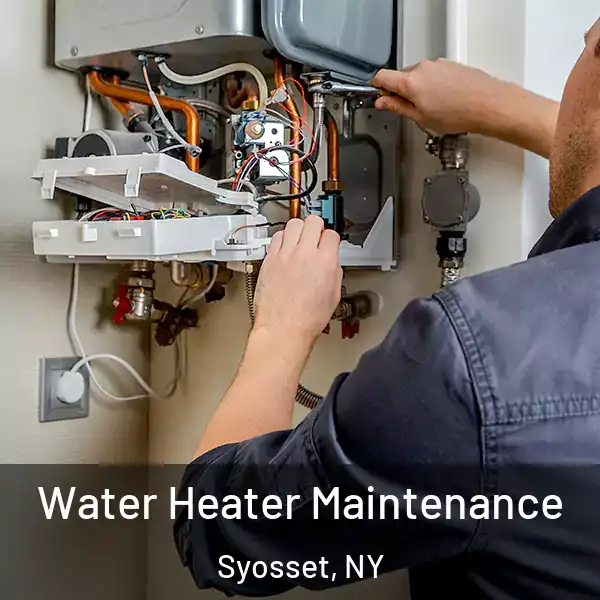  Water Heater Maintenance Syosset, NY