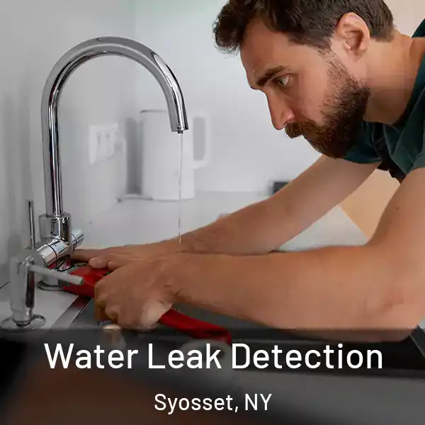  Water Leak Detection Syosset, NY