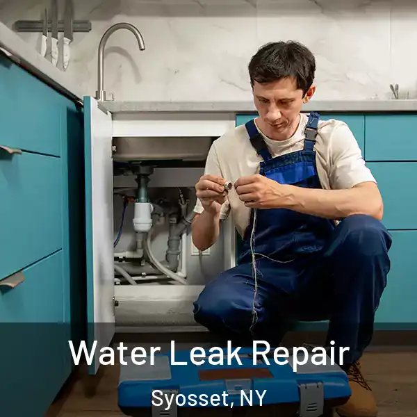  Water Leak Repair Syosset, NY