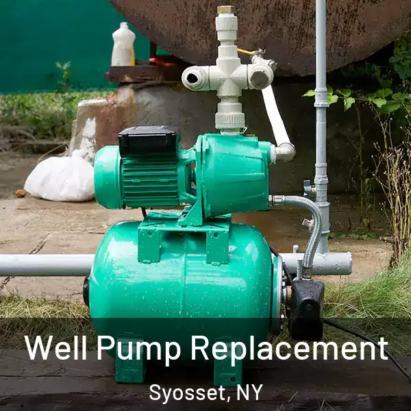 Well Pump Replacement Syosset, NY